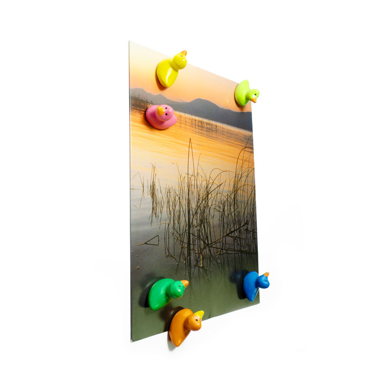 TRENDFORM Magnete DUCK 6er Set  