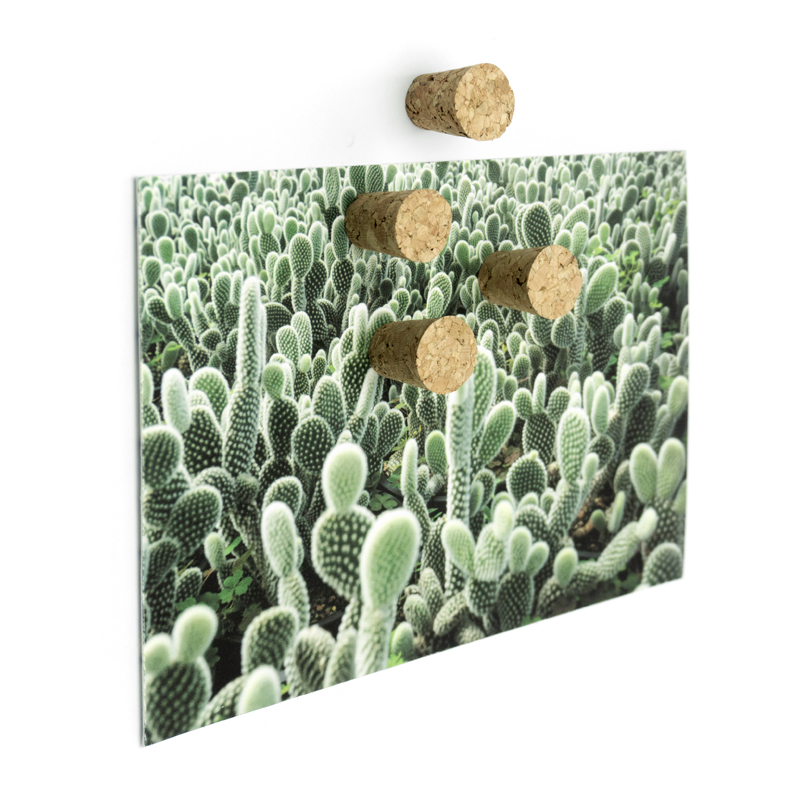 TRENDFORM Magnete CORK 4er Set braun 