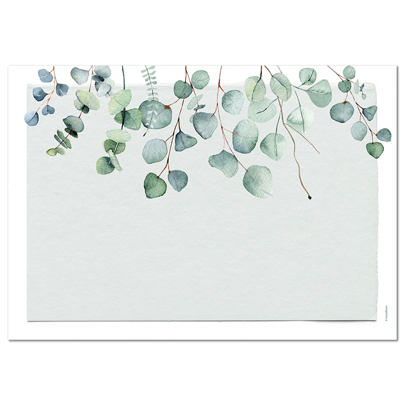 TRENDFORM Sets de table en papier EUCALYPTUS 4 x 12 feuilles