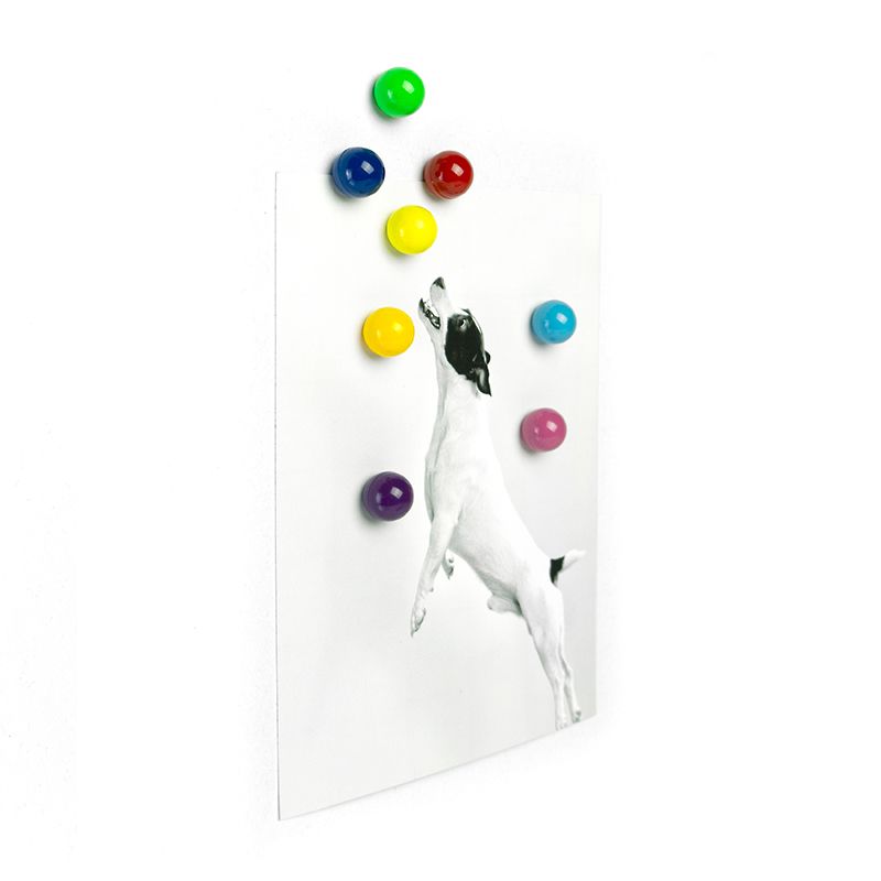 TRENDFORM Magnete RAINBALL 8er Set  