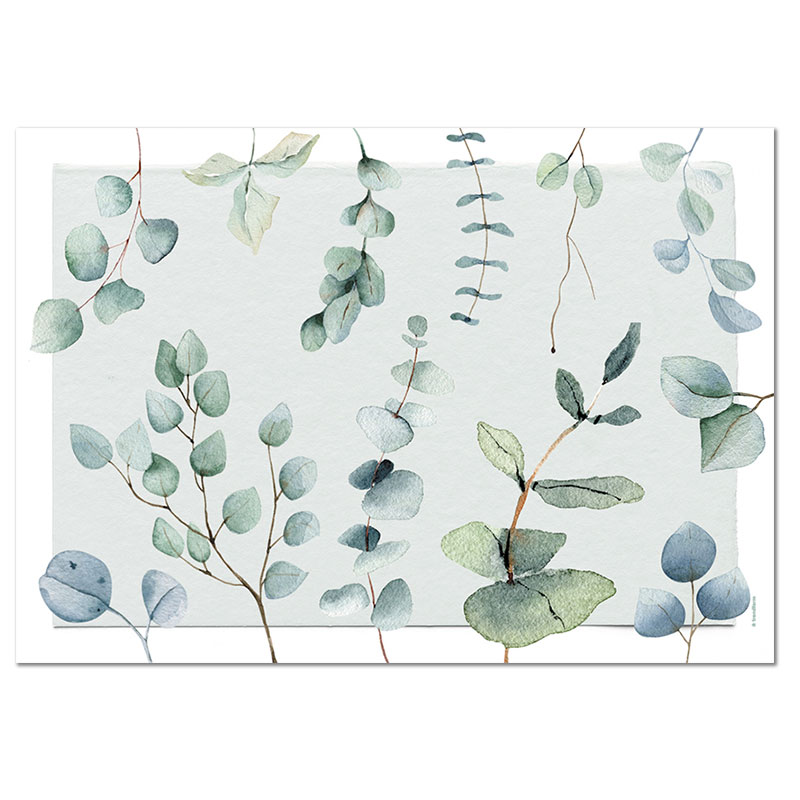 TRENDFORM Sets de table en papier EUCALYPTUS 4 x 12 feuilles