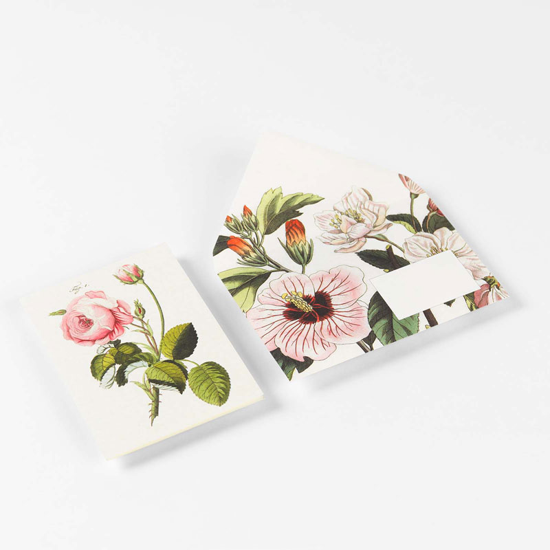 PEPIN PRESS Correspondence Set FLOWERS  