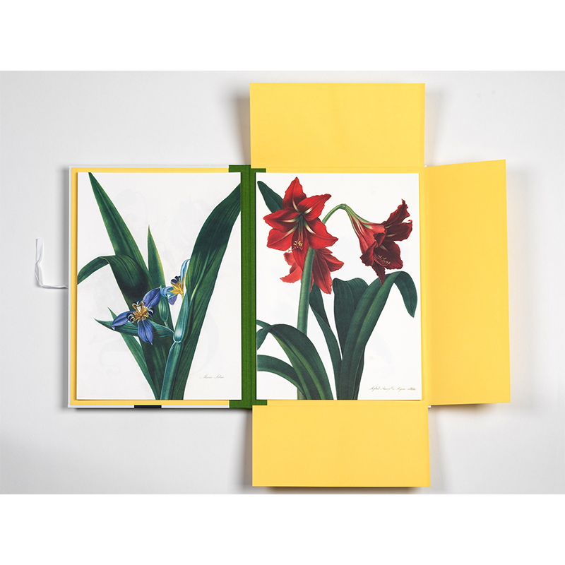 PEPIN PRESS Art Portfolios FLOWER PRINTS 