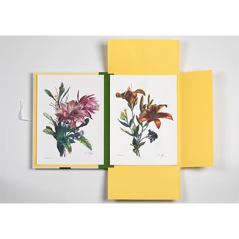 PEPIN PRESS Art Portfolios FLOWER PRINTS 