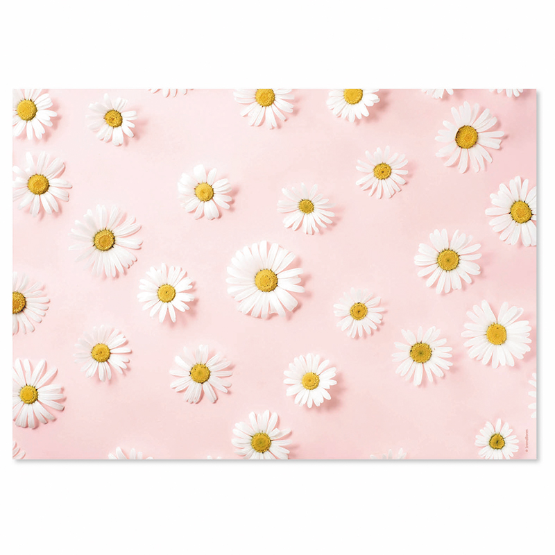 TRENDFORM Sets de table en papier DAISY 4 x 12 feuilles