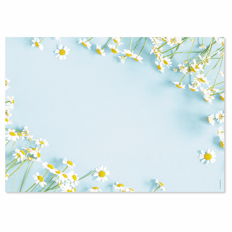 TRENDFORM Sets de table en papier DAISY 4 x 12 feuilles