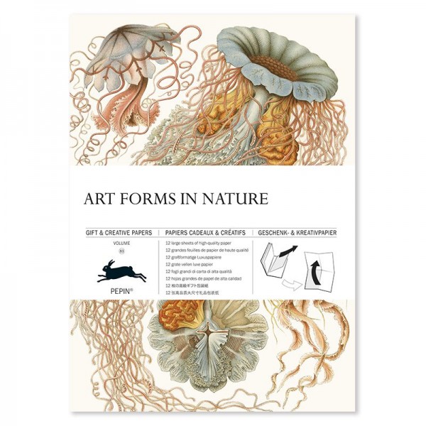 The Pepin Press Gift & Creative Paper ART FORMS IN NATURE